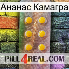 Ананас Камагра new11